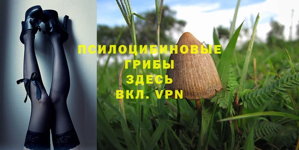 гидра Зерноград