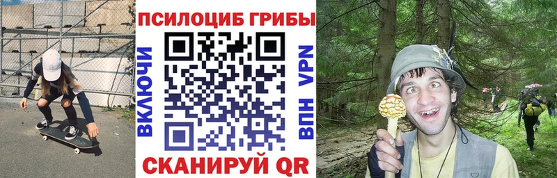 Купить где  Белоярский  Галлюциногенные грибы Cubensis 